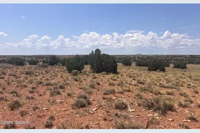 7660 Silver Creek Trail, Snowflake, AZ 85937 - Photo 9