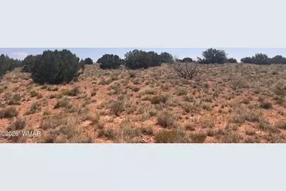 7660 Silver Creek Trail, Snowflake, AZ 85937 - Photo 5