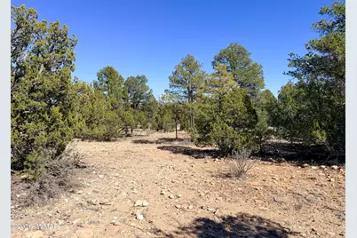 3344 Stone Bridge Trail, Heber, AZ 85928 - Photo 5