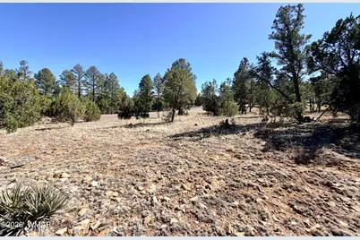 3344 Stone Bridge Trail, Heber, AZ 85928 - Photo 3