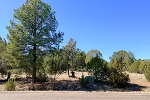 3344 Stone Bridge Trail, Heber, AZ 85928 - Photo 1