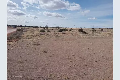 8820 E Concho Highway, Snowflake, AZ 85937 - Photo 7