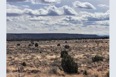 8820 E Concho Highway, Snowflake, AZ 85937 - Photo 15