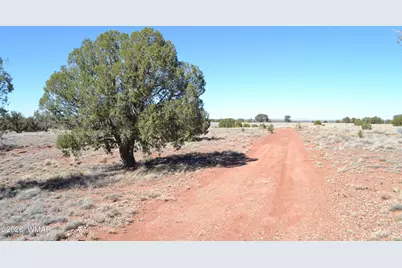 277 County Road N9234, Concho, AZ 85924 - Photo 7