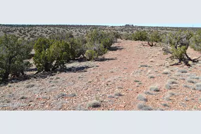 277 County Road N9234, Concho, AZ 85924 - Photo 23