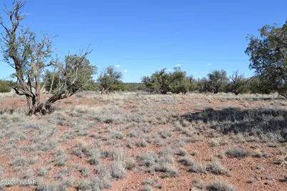 277 County Road N9234, Concho, AZ 85924 - Photo 17