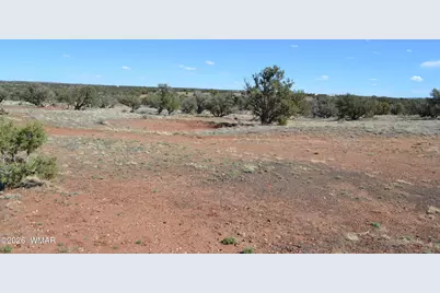 277 County Road N9234, Concho, AZ 85924 - Photo 11