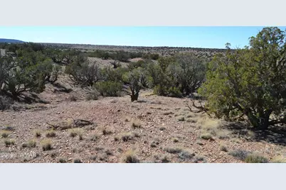 277 County Road N9234, Concho, AZ 85924 - Photo 3