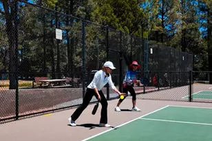 1301 S Lakeside Trl, Show Low, AZ 85901 - Photo 9