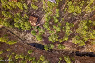 571 W Pine Shadow Dr, Lakeside, AZ 85929 - Photo 45