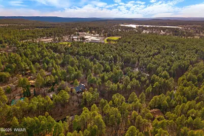 571 W Pine Shadow Drive, Lakeside, AZ 85929 - Photo 49