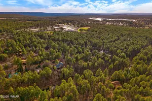 571 W Pine Shadow Dr, Lakeside, AZ 85929 - Photo 49