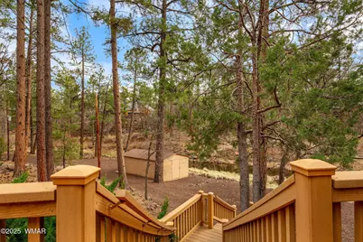 571 W Pine Shadow Drive, Lakeside, AZ 85929 - Photo 11