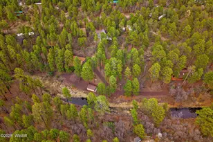 571 W Pine Shadow Dr, Lakeside, AZ 85929 - Photo 47