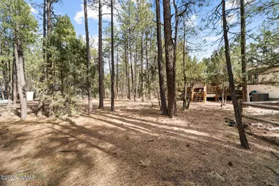 3622 Bear Trail, Lakeside, AZ 85929 - Photo 21