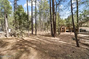 3622 Bear Trail, Lakeside, AZ 85929 - Photo 21