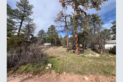 2856 Rainbow Trail, Overgaard, AZ 85933 - Photo 5