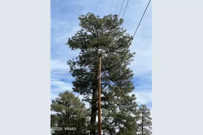 2856 Rainbow Trail, Overgaard, AZ 85933 - Photo 9