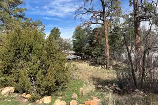 2856 Rainbow Trail, Overgaard, AZ 85933 - Photo 1