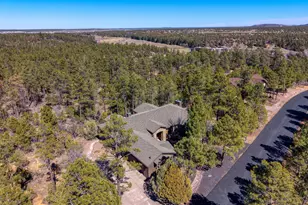 1100 Pine Oaks Dr, Show Low, AZ 85901 - Photo 59