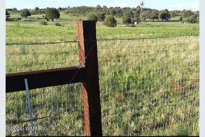 136 N Hashknife Drive, Young, AZ 85554 - Photo 49