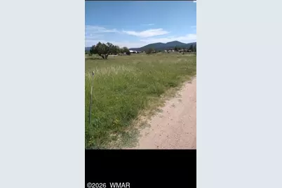 136 N Hashknife Drive, Young, AZ 85554 - Photo 39