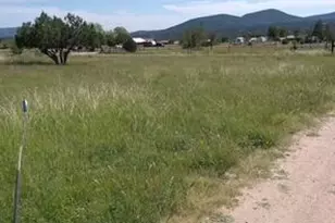 136 N Hashknife Dr, Young, AZ 85554 - Photo 39