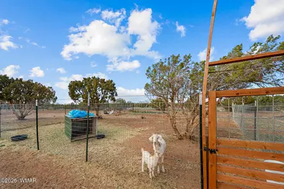 4066 E Pinto Road, Snowflake, AZ 85937 - Photo 17