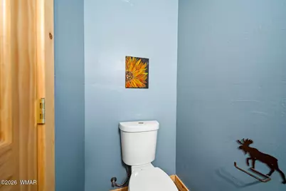 6325 Gardenia Lane, Show Low, AZ 85901 - Photo 39