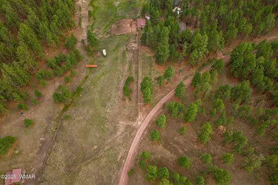 36 Cr N2147, Alpine, AZ 85920 - Photo 45