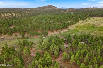 36 Cr N2147, Alpine, AZ 85920 - Photo 43