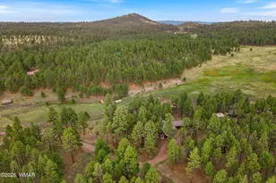 36 Cr N2147, Alpine, AZ 85920 - Photo 43