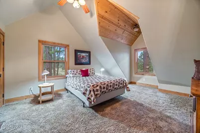 36 Cr N2147, Alpine, AZ 85920 - Photo 25