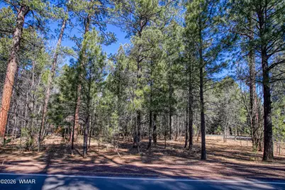 4250 Branding Iron Loop, Pinetop, AZ 85935 - Photo 3