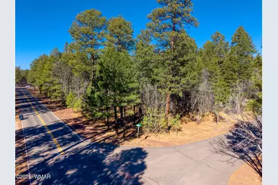 4250 Branding Iron Loop, Pinetop, AZ 85935 - Photo 5