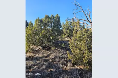 1856 Rainbow Circle, Show Low, AZ 85901 - Photo 3