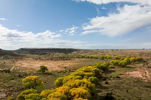 631 Centennial Blvd, Taylor, AZ 85939 - Photo 35