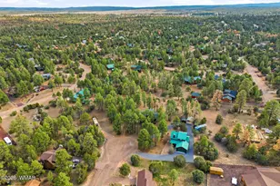 2233 Del Rio Cir, Overgaard, AZ 85933 - Photo 47