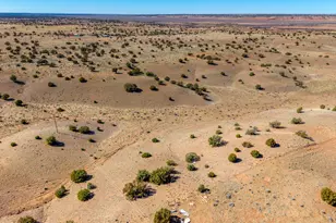 391 N9030, Concho, AZ 85924 - Photo 21