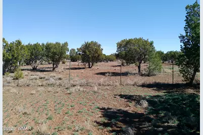 68 Charlene Drive, Concho, AZ 85924 - Photo 53
