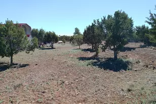 68 Charlene Dr, Concho, AZ 85924 - Photo 49