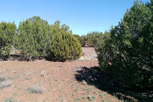 68 Charlene Dr, Concho, AZ 85924 - Photo 55