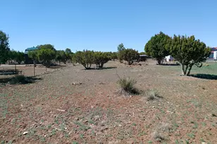 68 Charlene Dr, Concho, AZ 85924 - Photo 51