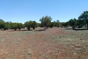 68 Charlene Dr, Concho, AZ 85924 - Photo 59