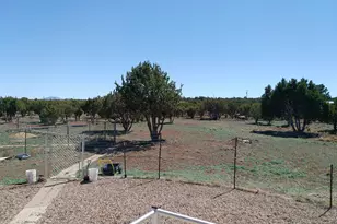 68 Charlene Dr, Concho, AZ 85924 - Photo 69