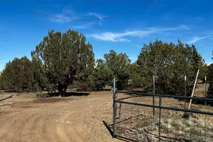 7980 Shehan Rd, Show Low, AZ 85901 - Photo 3