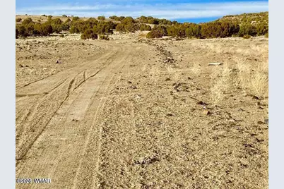 Tbd Co Rd 5201 1.22 Acres, Concho, AZ 85924 - Photo 9