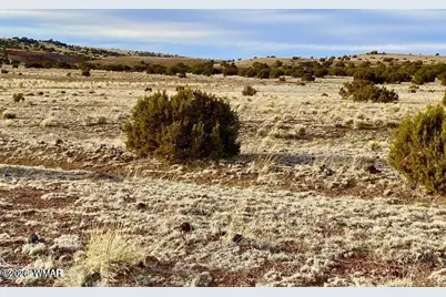 Tbd Co Rd 5201 1.22 Acres, Concho, AZ 85924 - Photo 15