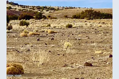 Tbd Co Rd 5201 1.22 Acres, Concho, AZ 85924 - Photo 7