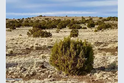 Tbd Co Rd 5201 1.22 Acres, Concho, AZ 85924 - Photo 3